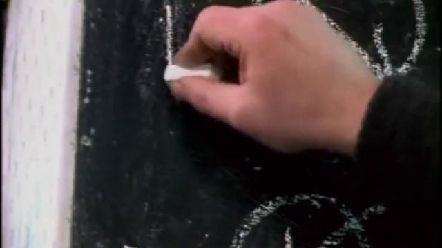 NEMIGA  Молодость