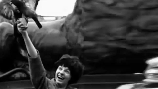 Загадочная Регина Збарская смотреть онлайн