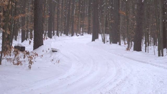 Tips for Safe Riding смотреть онлайн