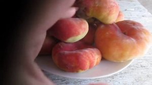 Персик - плоский?!