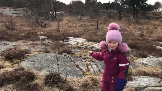 Прогулка с собаками 1 смотреть онлайн