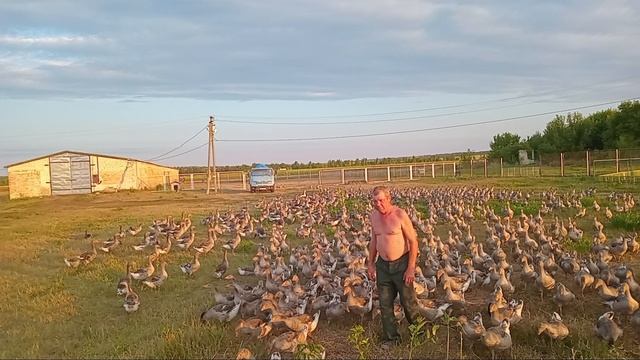 Василич с подчинёнными!