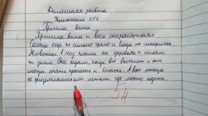 Проверяю рабочие тетради по русскому языку 4 класс
