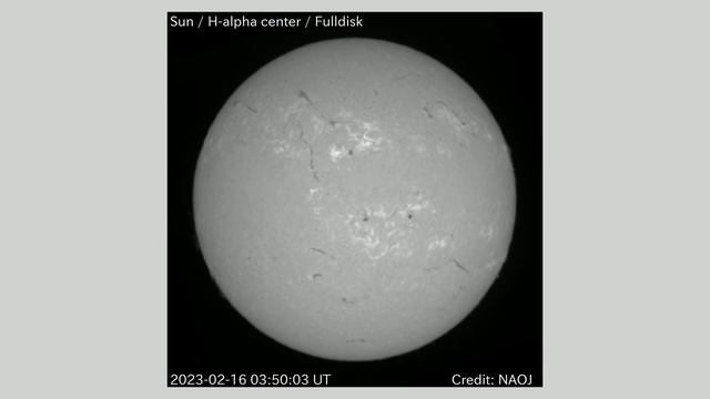 太陽 Hα全面観測 全面画像 2023年2月16日(Sun H-alpha Full Scale Observation, Full Image, Feb. 16, 2023) смотреть онлайн