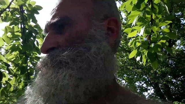 ПАФОС 1 сутки...(2.) смотреть онлайн