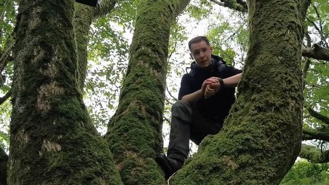 GG-B100 Mudmaster | How To Use The Step Tracker | Casio G-Shock