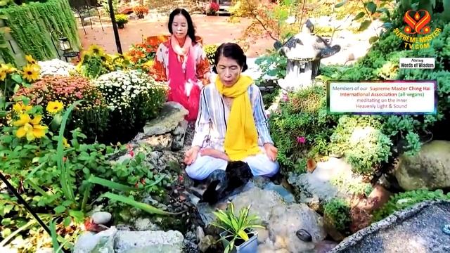 1291 WOW Bless Yourself With Meditation: From Coloring Our Lives By Supreme Master Ching Hai (vegan