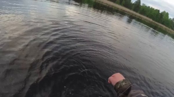 Лучшая модель Luremax