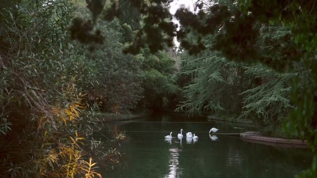 Практики и ритуалы на день осеннего равноденствия + зеркальная портальная дата 23.09.23