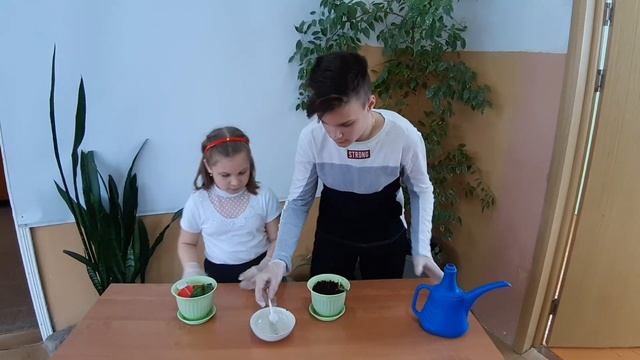 Раздельный сбор отходов-светлое будущее на чистой планете Земля смотреть онлайн