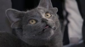 Ужасные Животные-Мутанты снятые на камеру / ТОП 15