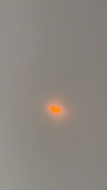 Viewing Solar Eclipse in Long Island City, NY #nyc #eclipse #nyclife смотреть онлайн