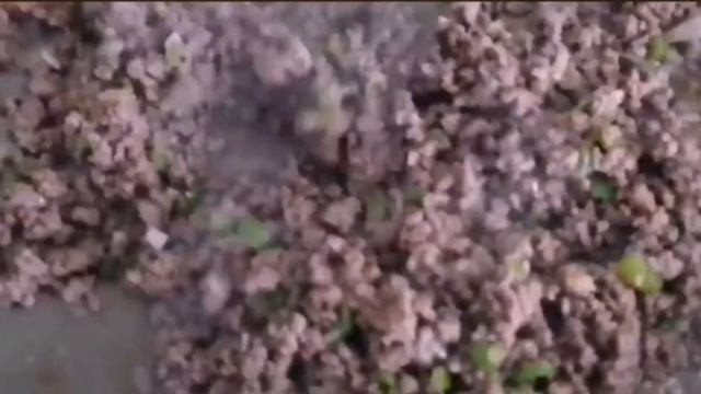 KIYMALI SAC TAVA 💥💥👌👌 смотреть онлайн