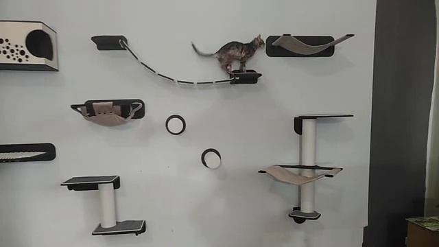 12 октября 2019 г. смотреть онлайн