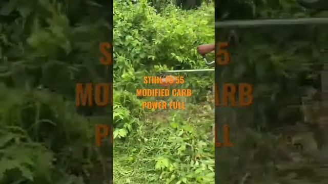 STIHL FS 55 MODIFIED CARB POWER FULL WORKING смотреть онлайн