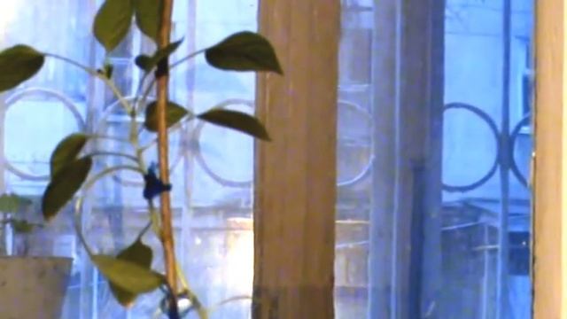 Начало моего настоящего раннего утра! 2014. The beginning of my real early in the morning! 2014. смотреть онлайн