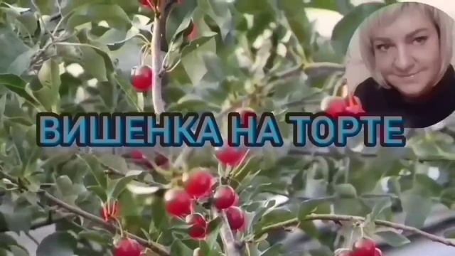 ОТПРАВЛЯЮТ К КАШПИРОВСКОМУ. ОЛЬГА УРАЛОЧКА LIVE. ОБЗОР. смотреть онлайн