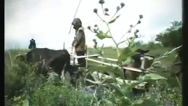 Художественный фильм: 