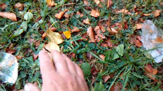 Куски льда с неба. Углич. 07.08.2016 смотреть онлайн