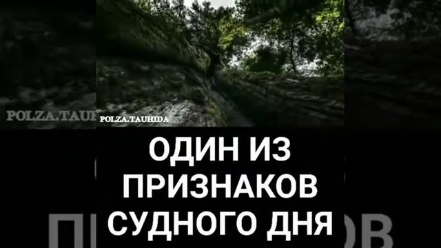 Субхоналохи аъзим Один из признаков ⚖ судного дня смотреть онлайн