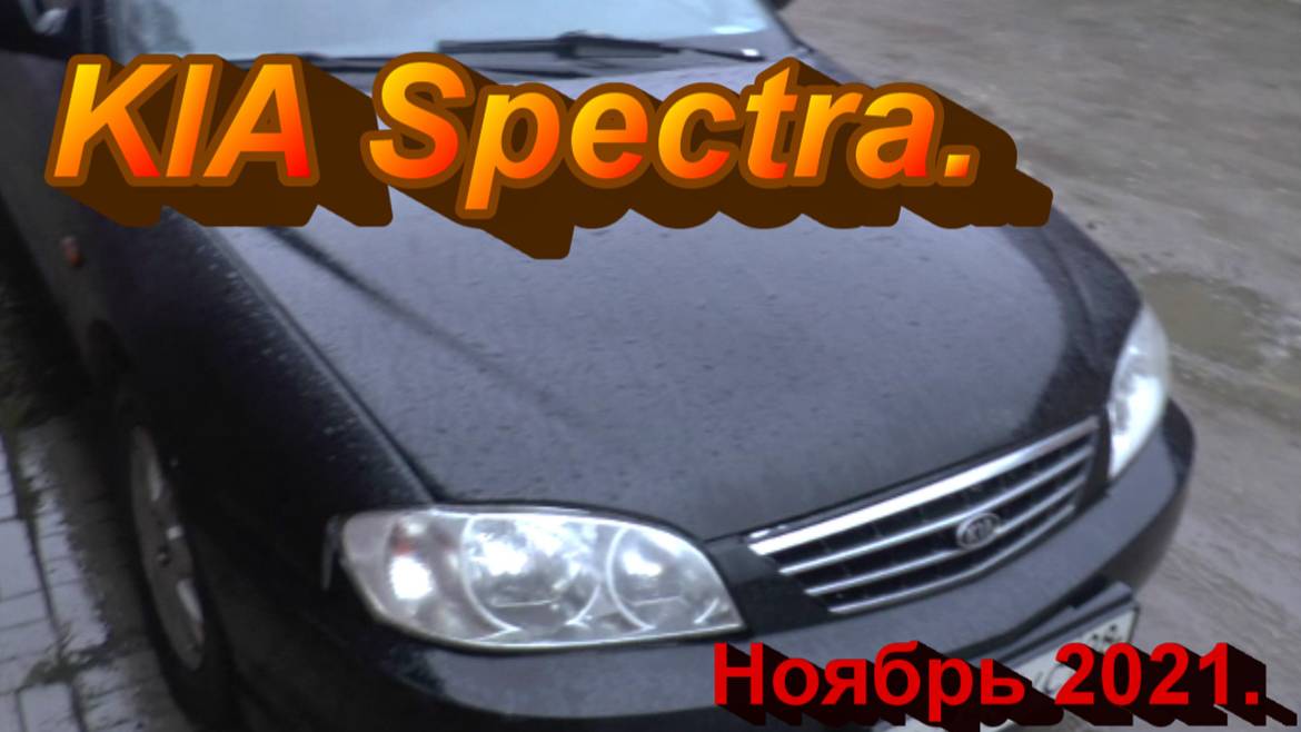 KIA Spectra. Ноябрь 2021. смотреть онлайн