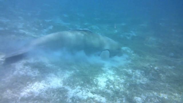 Marsa Alam смотреть онлайн