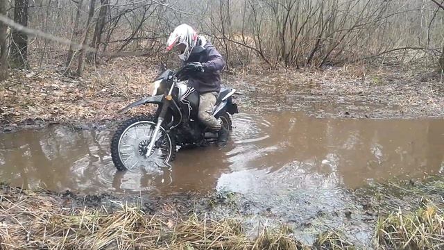 Чудики в лесу