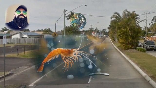 🦐The Big Prawn On Google Maps!