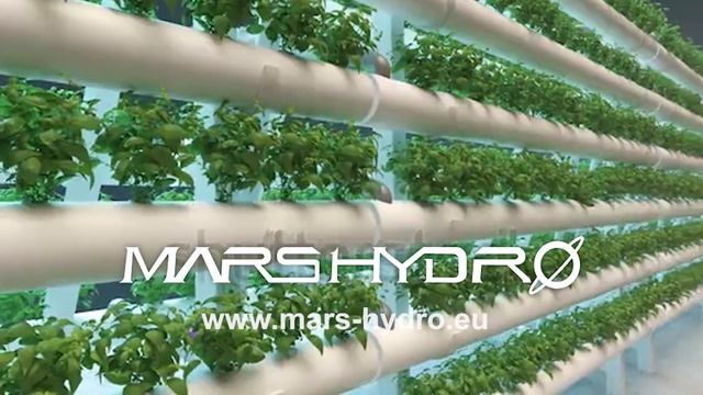 Mars Hydro TS 3000 Grow Light