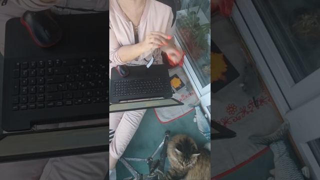 Как научиться.? Спасибо огромное ❤🐱💋 @helenared смотреть онлайн