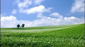 "Ты Россия моя" муз. и сл. А Серебрякова