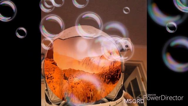 Аксессуары я на марсе.2 тестирование игри смотреть онлайн