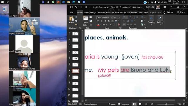 Inglés Corporativo - Class #3 - Principiante 1 - Colors And Spelling Names - Verb To Be - Aff. Neg.