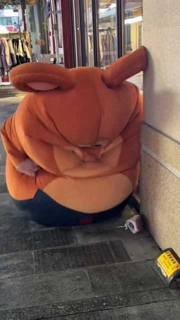 что он там унюхал.mp4