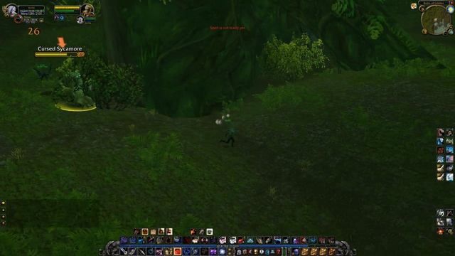A Sycamore Branch (Quest Item), WoW Classic