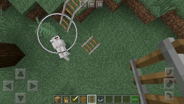 Город 🌆 Венера сити