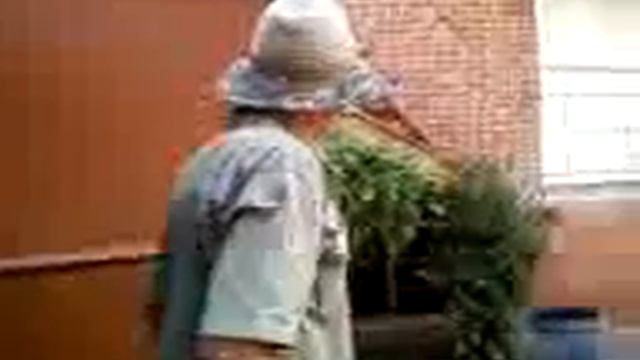 Пьяный коля.mp4 смотреть онлайн