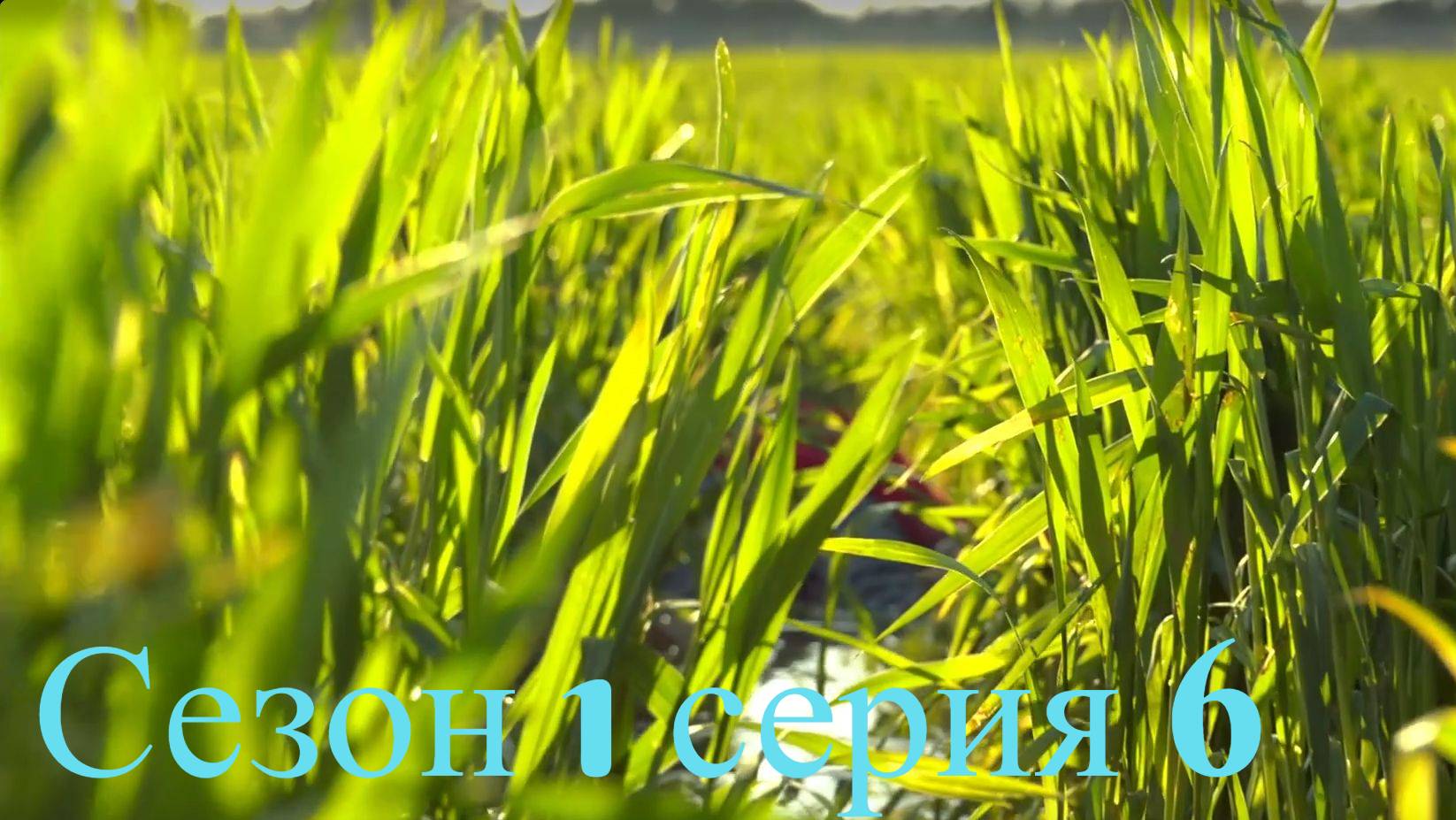 Воскрешение - 1 сезон 6 серия / Resurrection смотреть онлайн