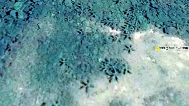 необычные звезды на амазонке смотреть онлайн
