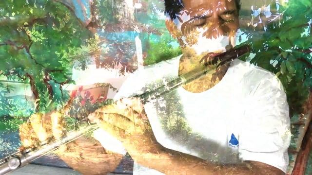 Flor E Terra - Viaje Nessa Estrada (instrumental Flute Music)