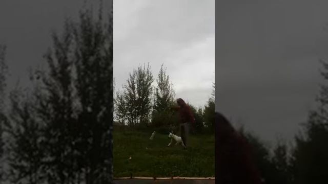 Марс, работа с палкой. смотреть онлайн