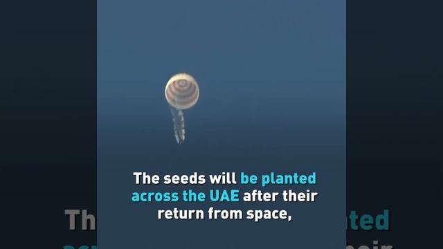 United Arab Emirates’s first astronaut returns to Earth смотреть онлайн