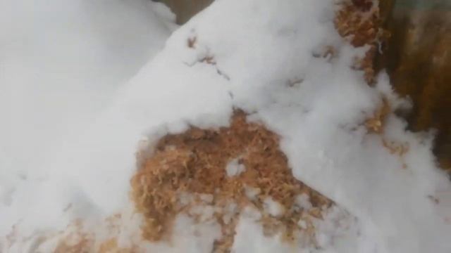 Лопнула рама на мотоблоке! смотреть онлайн