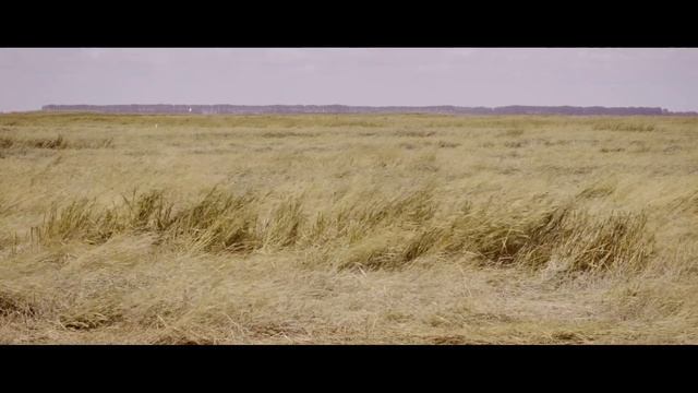 BASta! duo plays 'Drom' смотреть онлайн
