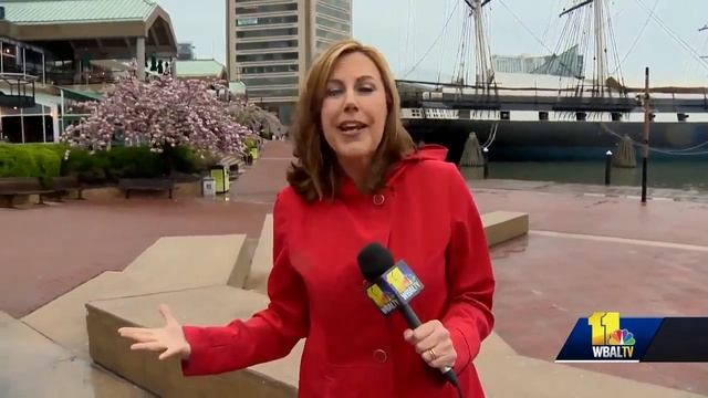 The Ravens Draft Fest, Purple Skills and Drills return смотреть онлайн