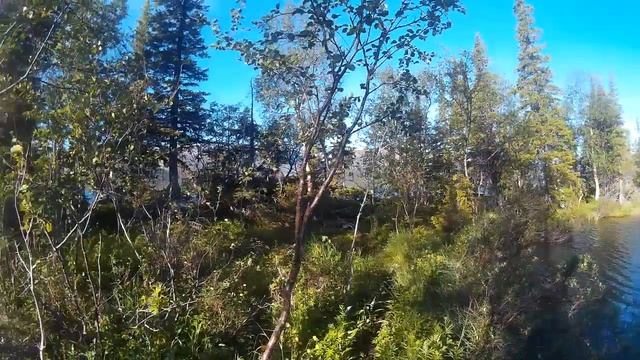 Вокруг сейдозера за 10 часов,14 смотреть онлайн