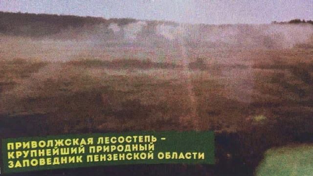 Пенза. Выставка Россия на ВДНХ. 2024 смотреть онлайн