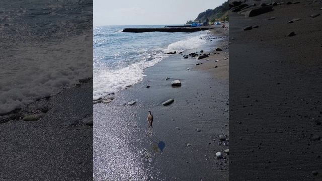 меня питает красота.mp4