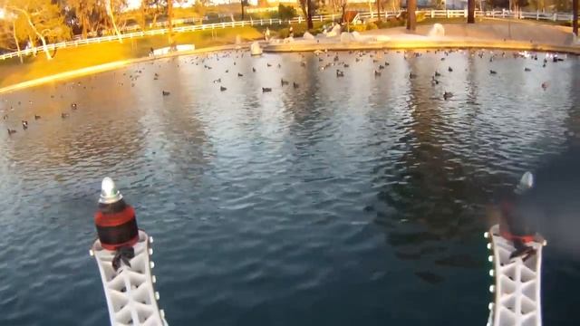 Ducks With Naza Hexacopter смотреть онлайн