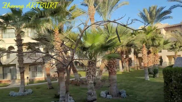 Трансфер аеропорт готель // МАРСА АЛАМ // Lazuli 5* // Єгипт // затишок і спокій // частина 1